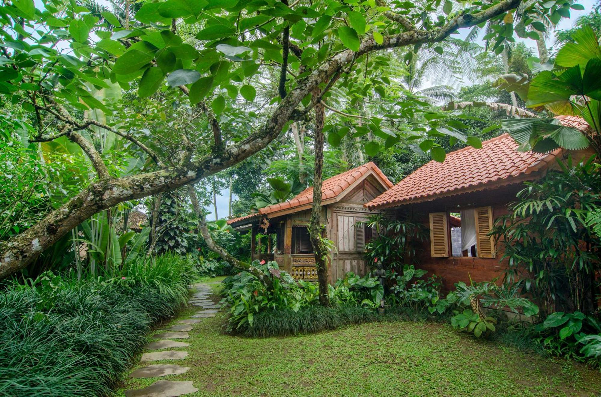 Dewi Tara Haven Bed & Breakfast Gianyar  Room photo