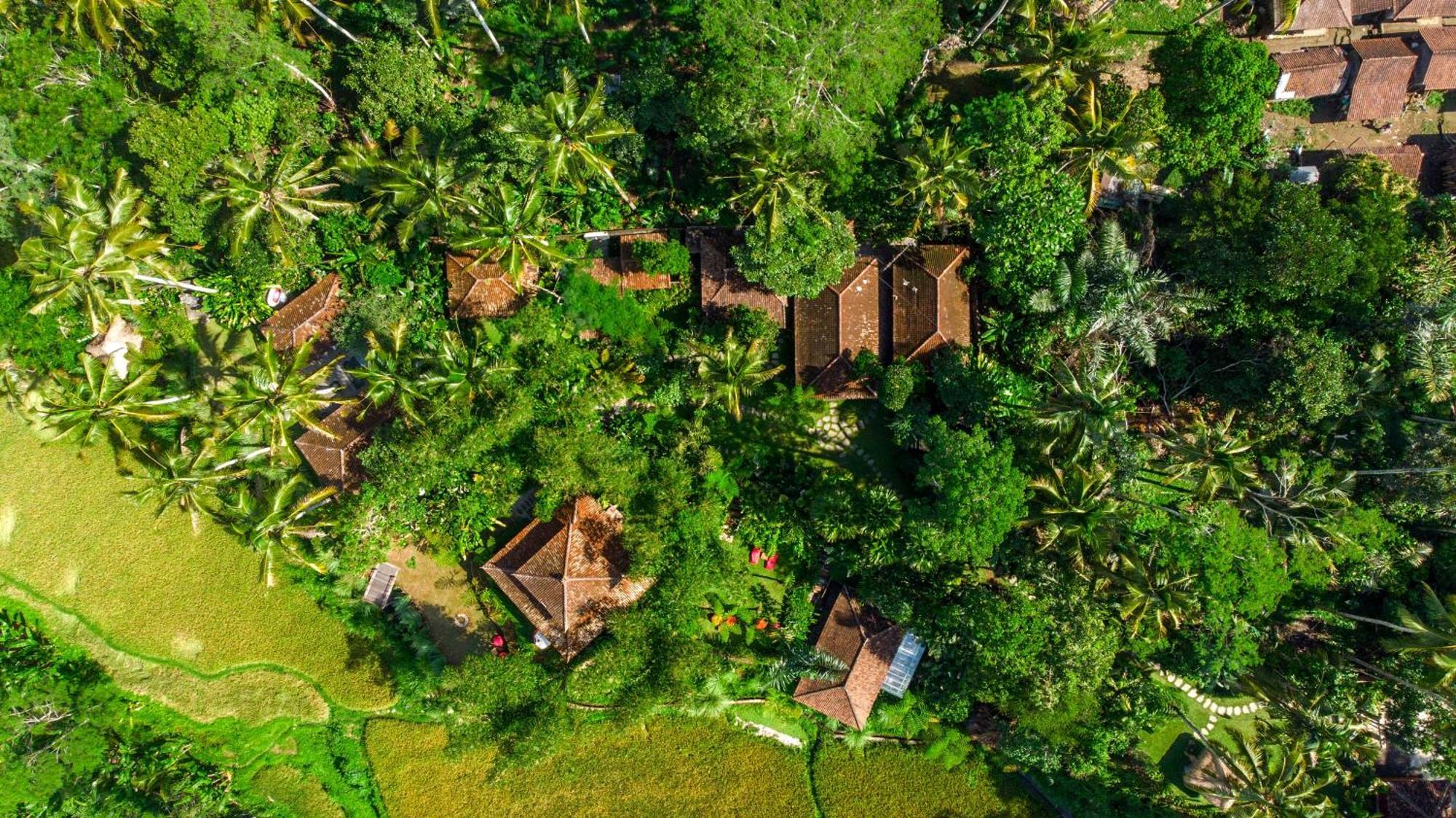 Dewi Tara Haven Bed & Breakfast Gianyar  Exterior photo