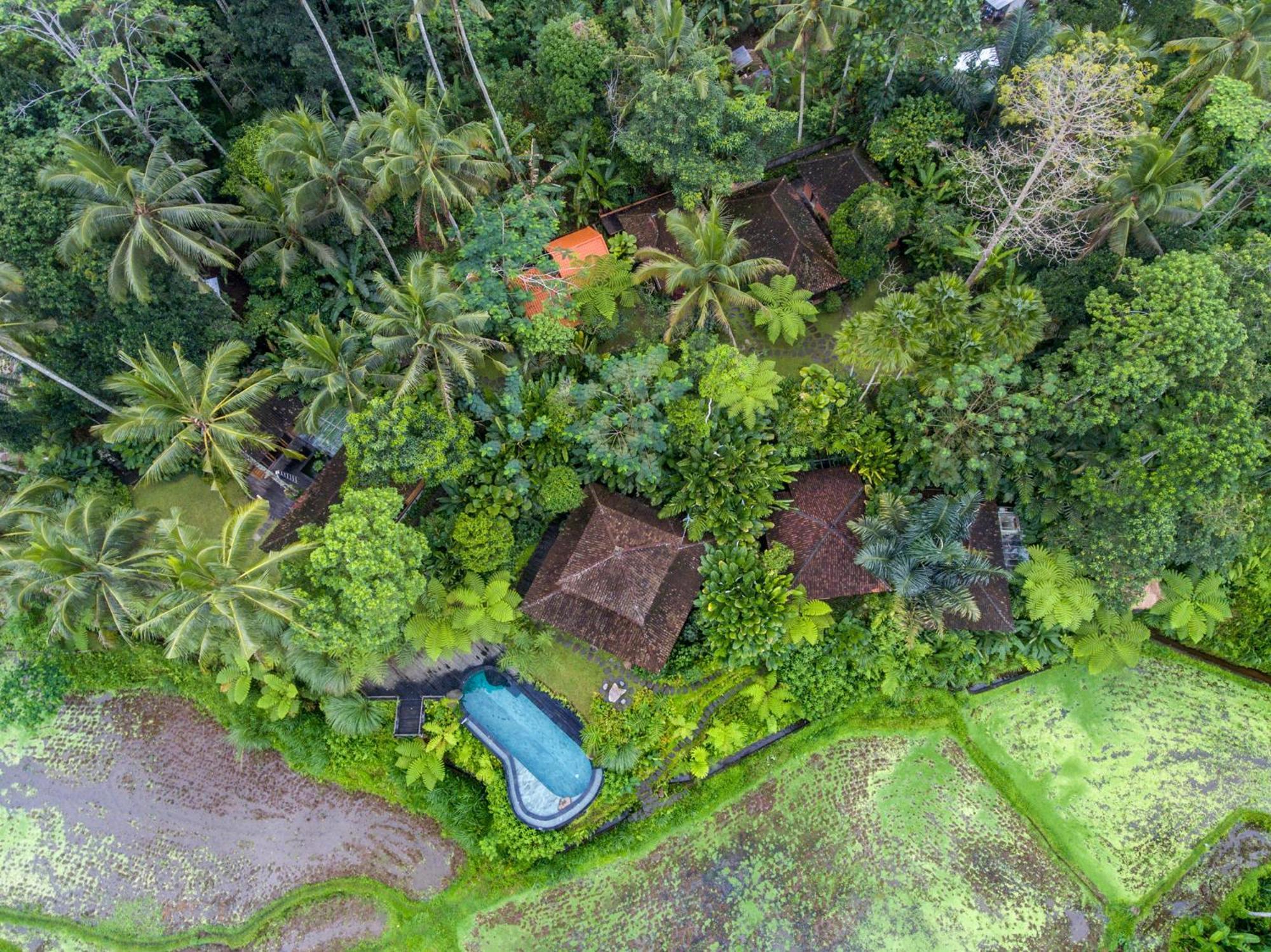 Dewi Tara Haven Bed & Breakfast Gianyar  Room photo