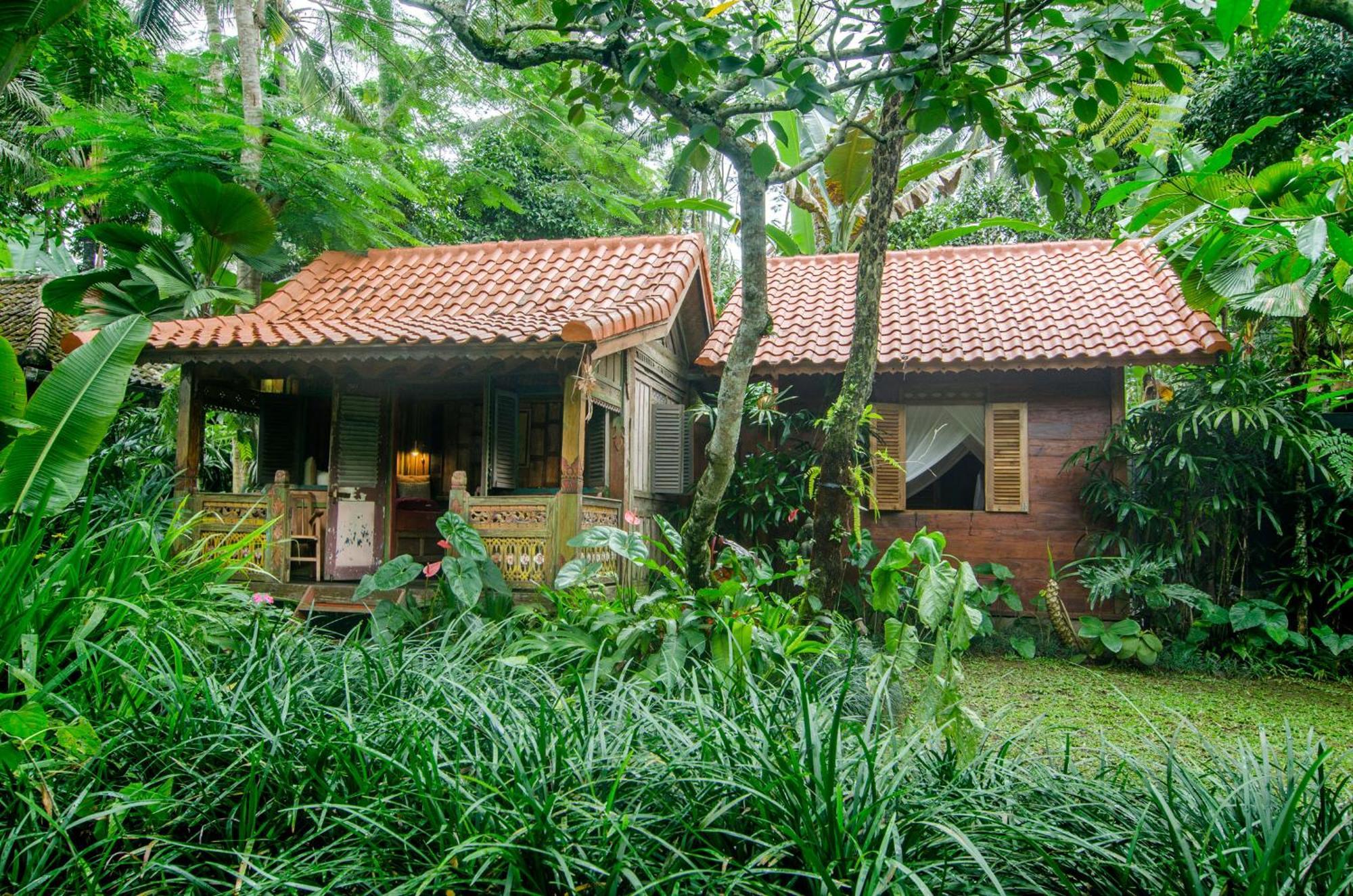 Dewi Tara Haven Bed & Breakfast Gianyar  Room photo